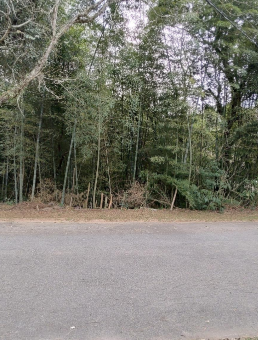 Terreno Em Condomínio 1.364,00m² - Residencial Patrimônio Do Carmo, São Roque/SP