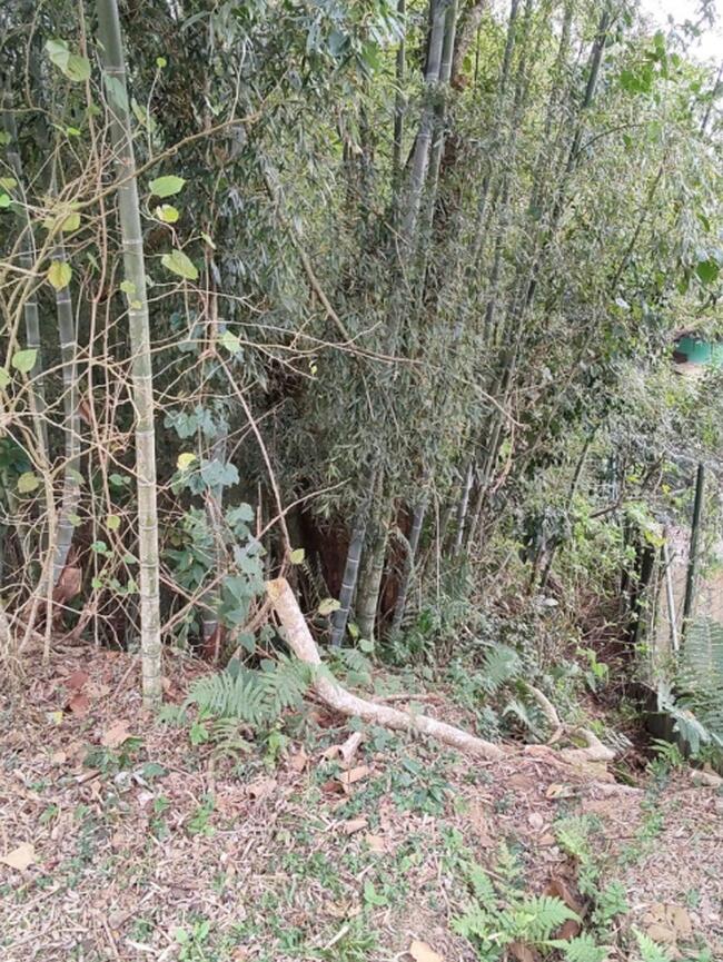 Terreno Em Condomínio 1.364,00m² - Residencial Patrimônio Do Carmo, São Roque/SP — foto 4