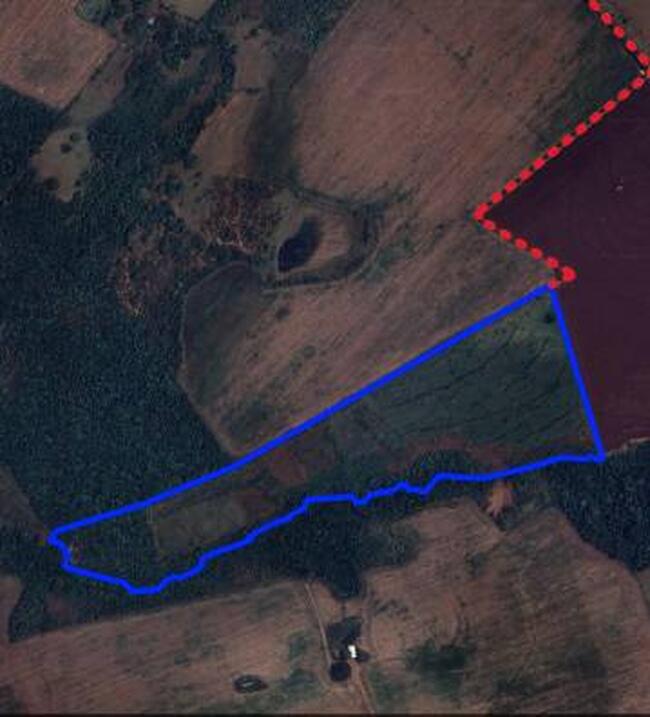 Venda Direta De Área Rural Com 30 Hectares Denominada Chácara Boa Vista Na Ms-040 Em Campo Grande/MS — foto 3