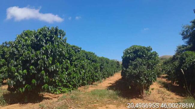 Fazenda Massarele Em Piumhi-mg Com Área Total De 95.06,00 Hectares — foto 2