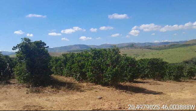 Fazenda Massarele Em Piumhi-mg Com Área Total De 95.06,00 Hectares — foto 3