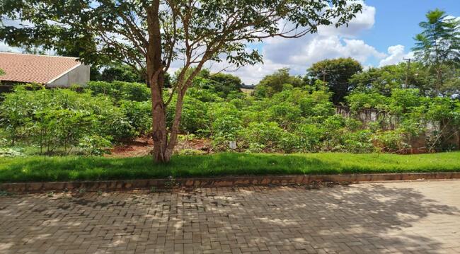 Imóvel C/ 352m² No Distrito De Ivailândia Em Engenheiro Beltrão/PR — foto 4