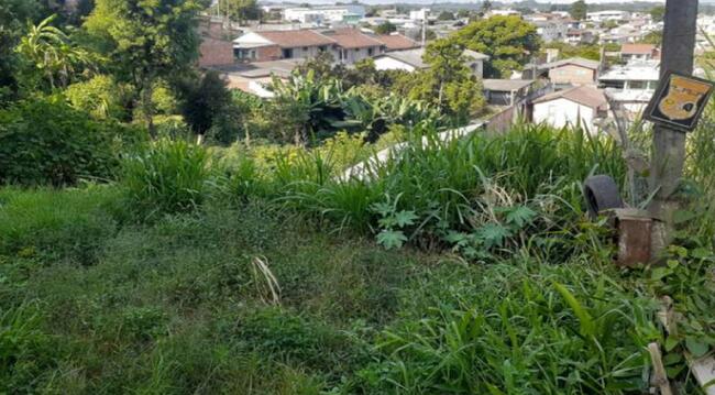 Direitos - Imóvel C/ 552m² Em Almirante Tamandaré/PR — foto 3