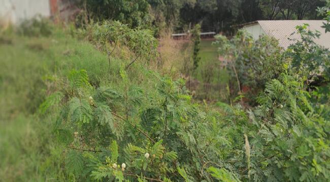 Imóvel C/ 336,60m² Em Nova Esperança/PR — foto 4
