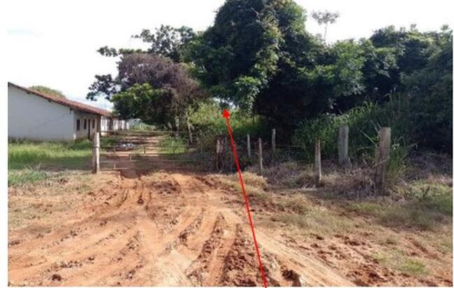 Sítio 11,59,86ha - Área Rural, Mococa/SP — foto 2