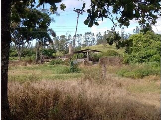 Sítio 11,59,86ha - Área Rural, Mococa/SP — foto 4