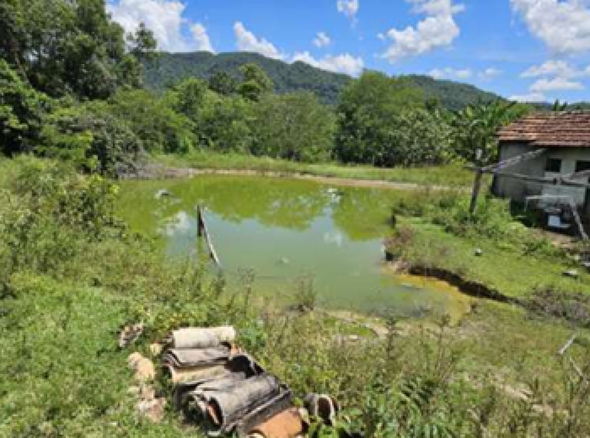 Imóvel Rural em Guarinos/GO