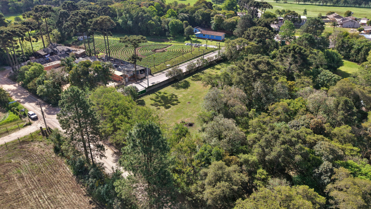 Terreno na Rua Heitor Pallú, Piraquara — foto 4