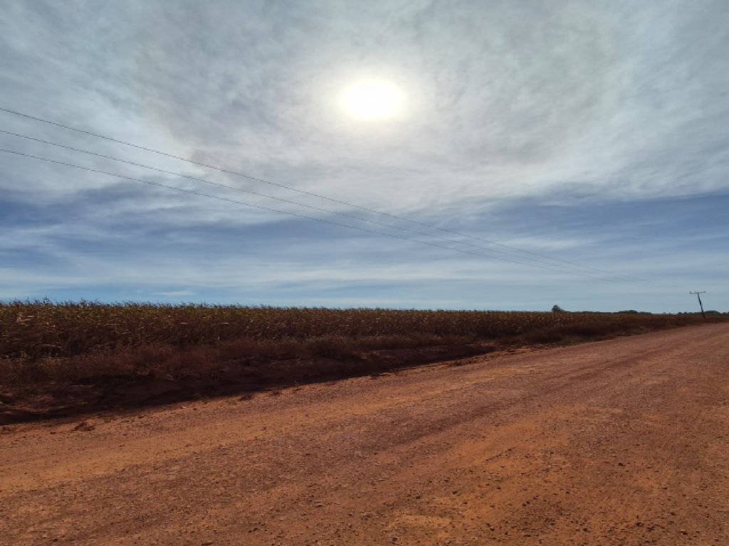 Imóvel Rural 81 ha (Sítio São Pedro) - Ipiranga do Norte - MT — foto 4