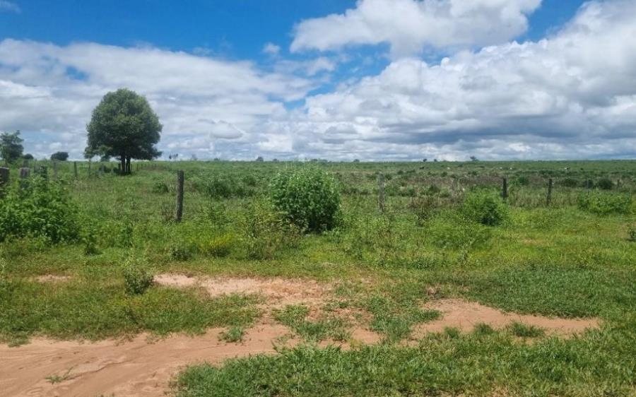 Lote 1 - Jussara - GO - zona rural - Fazenda Imóveis Rurais e Comerciais - SICOOB UNICENTRO BR - E458 — foto 2