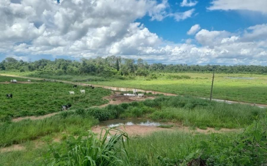Lote 1 - Jussara - GO - zona rural - Fazenda Imóveis Rurais e Comerciais - SICOOB UNICENTRO BR - E458 — foto 3