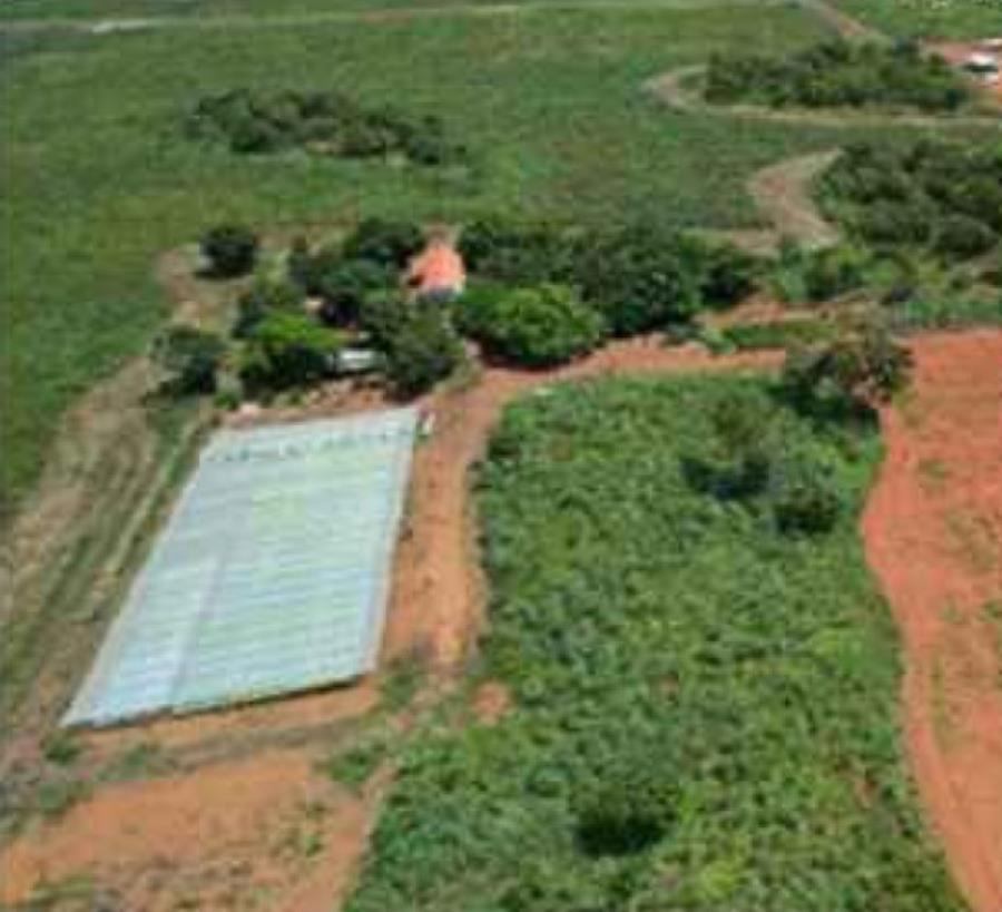 Lote 10 - Porto Nacional - TO - zona rural - Gleba de Terras Imóveis Rurais e Comerciais - SICOOB UNICENTRO BR - E458 — foto 5