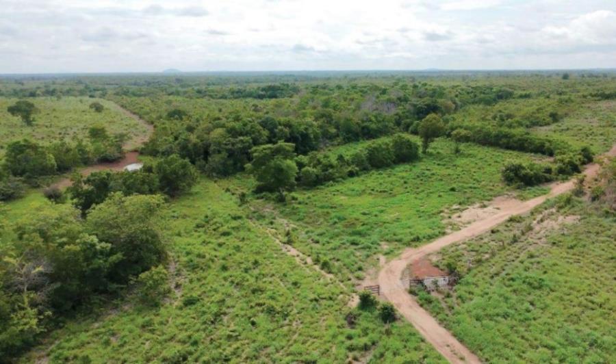 Lote 11 - Araguaçu - TO - zona rural - Fazenda Imóveis Rurais e Comerciais - SICOOB UNICENTRO BR - E458