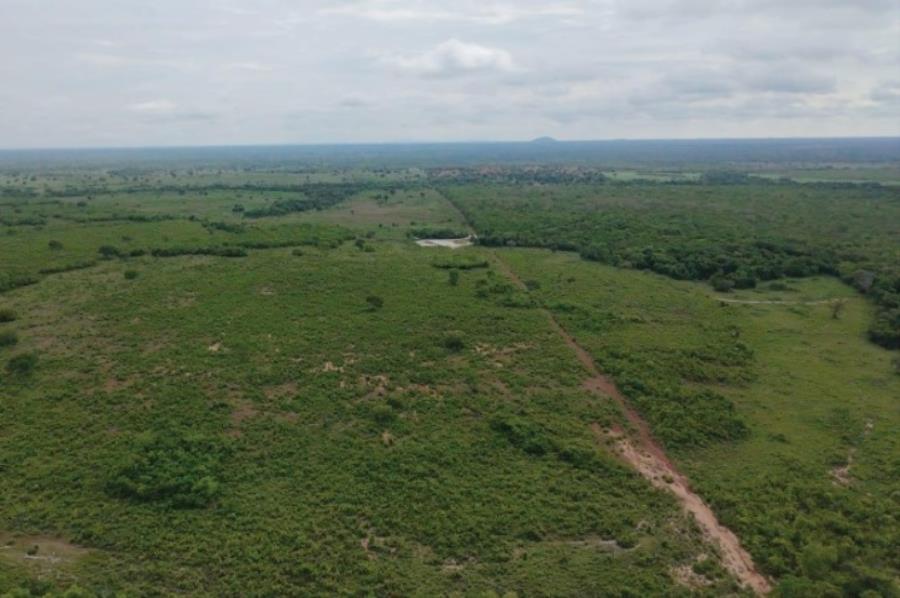 Lote 11 - Araguaçu - TO - zona rural - Fazenda Imóveis Rurais e Comerciais - SICOOB UNICENTRO BR - E458 — foto 2