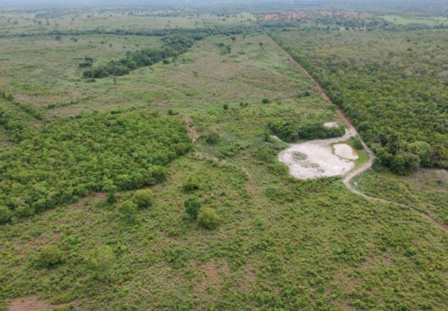 Lote 11 - Araguaçu - TO - zona rural - Fazenda Imóveis Rurais e Comerciais - SICOOB UNICENTRO BR - E458 — foto 4