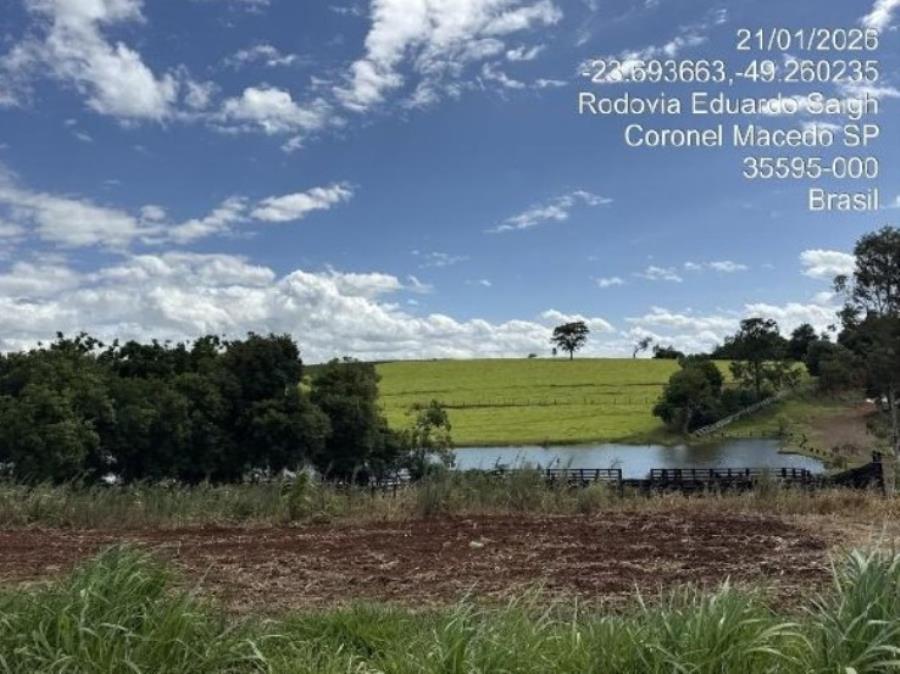 Lote 15 - Coronel Macedo - SP - zona rural - Haras Imóveis Rurais e Comerciais - SICOOB UNICENTRO BR - E458 — foto 4