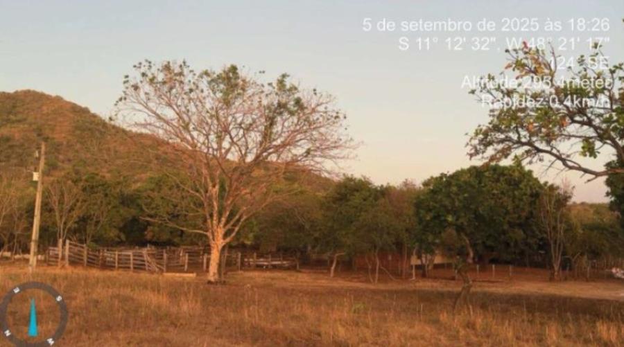 Lote 17 - Ipueiras - TO - zona rural - Área de Terras Imóveis Rurais e Comerciais - SICOOB UNICENTRO BR - E458 — foto 2