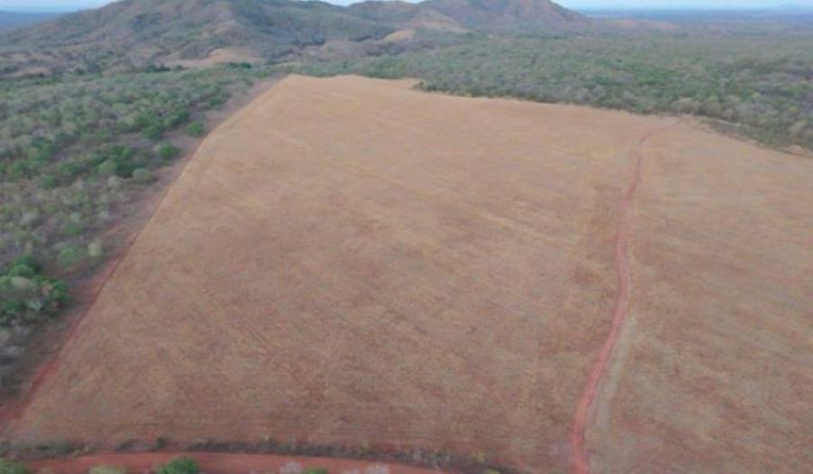 Lote 17 - Ipueiras - TO - zona rural - Área de Terras Imóveis Rurais e Comerciais - SICOOB UNICENTRO BR - E458 — foto 3