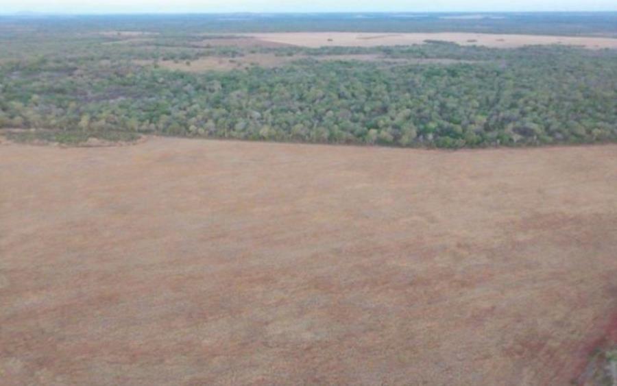 Lote 17 - Ipueiras - TO - zona rural - Área de Terras Imóveis Rurais e Comerciais - SICOOB UNICENTRO BR - E458 — foto 4