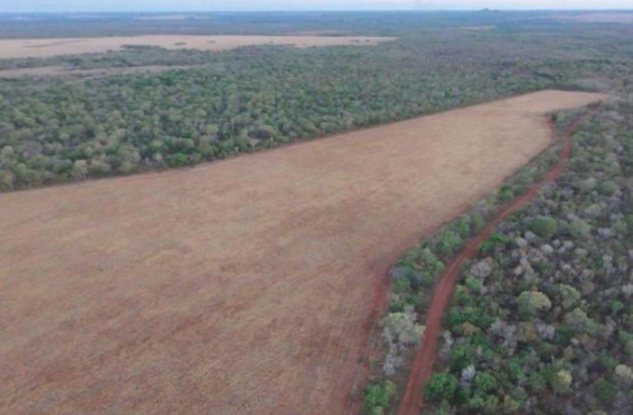 Lote 17 - Ipueiras - TO - zona rural - Área de Terras Imóveis Rurais e Comerciais - SICOOB UNICENTRO BR - E458 — foto 5