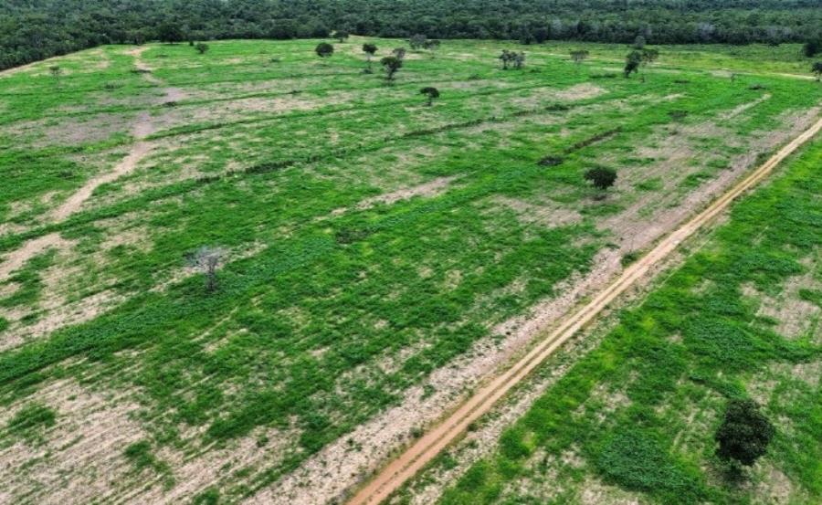 Lote 2 - São Félix do Araguaia - MT - zona rural - Fazenda Imóveis Rurais e Comerciais - SICOOB UNICENTRO BR - E458 — foto 2