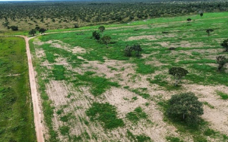 Lote 2 - São Félix do Araguaia - MT - zona rural - Fazenda Imóveis Rurais e Comerciais - SICOOB UNICENTRO BR - E458 — foto 4