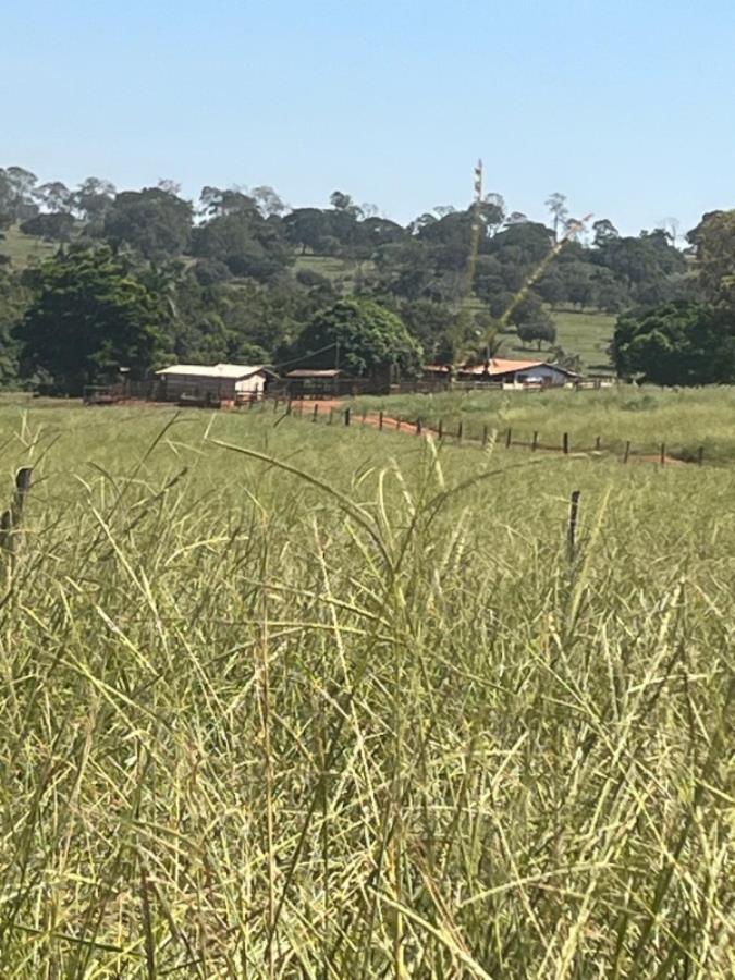 Ituiutaba/MG - Imóvel Rural com 38ha Leilão Sicoob