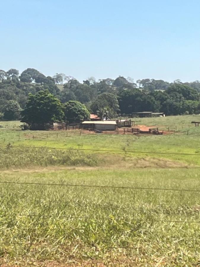 Ituiutaba/MG - Imóvel Rural com 38ha Leilão Sicoob — foto 2