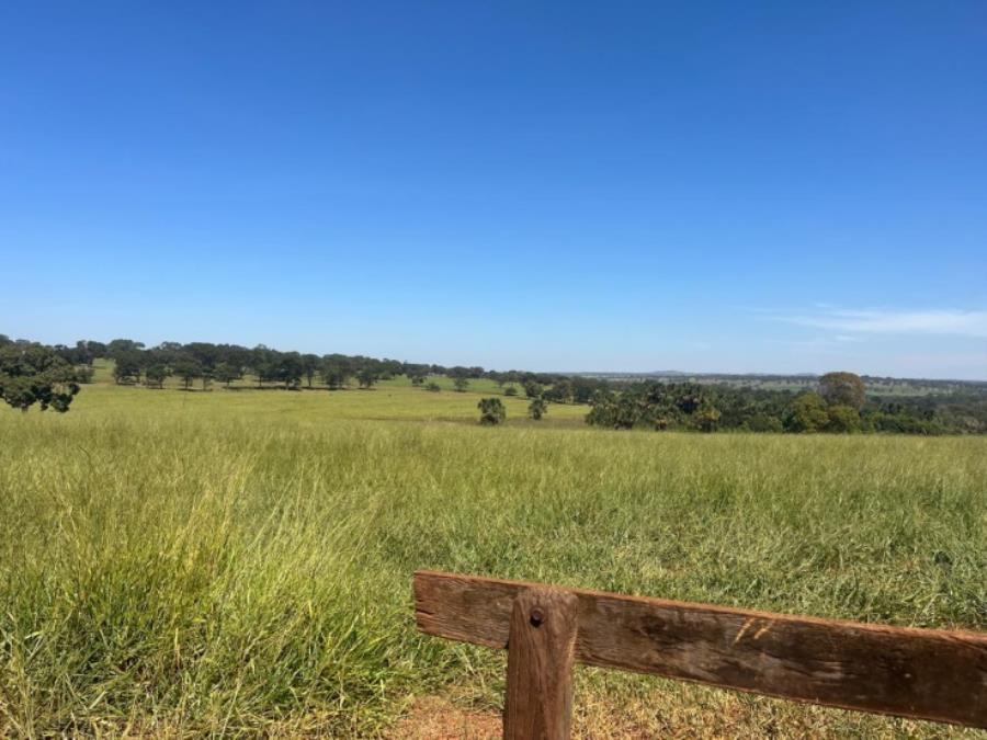Ituiutaba/MG - Imóvel Rural com 38ha Leilão Sicoob — foto 3