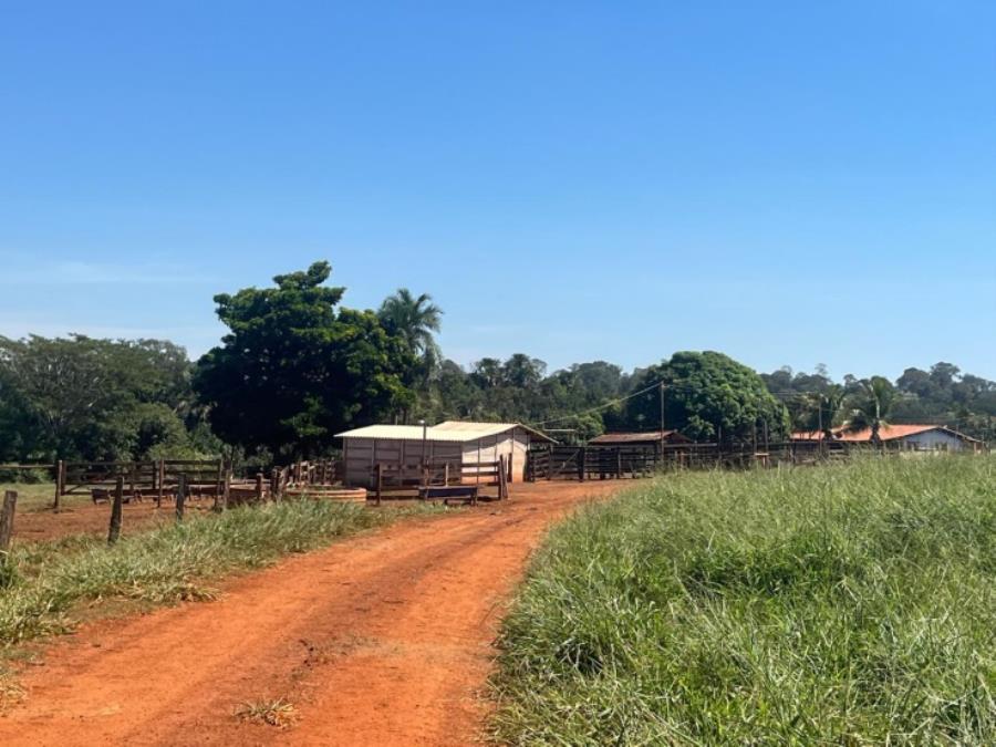 Ituiutaba/MG - Imóvel Rural com 38ha Leilão Sicoob — foto 5