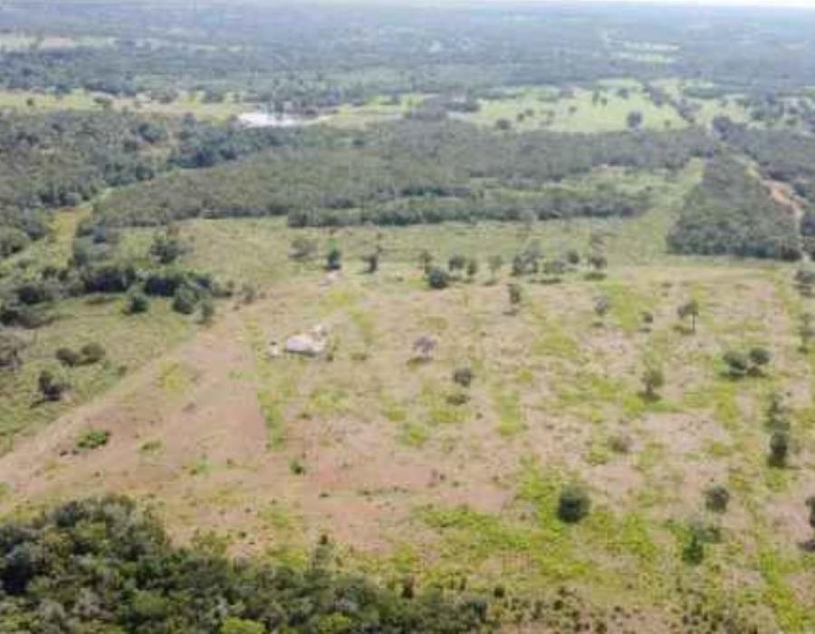 Lote 21 - Araguaçu - TO - zona rural - Fazenda Imóveis Rurais e Comerciais - SICOOB UniCentro Br - E458