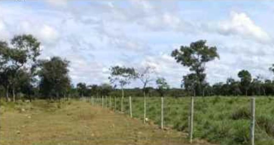 Lote 21 - Araguaçu - TO - zona rural - Fazenda Imóveis Rurais e Comerciais - SICOOB UniCentro Br - E458 — foto 5