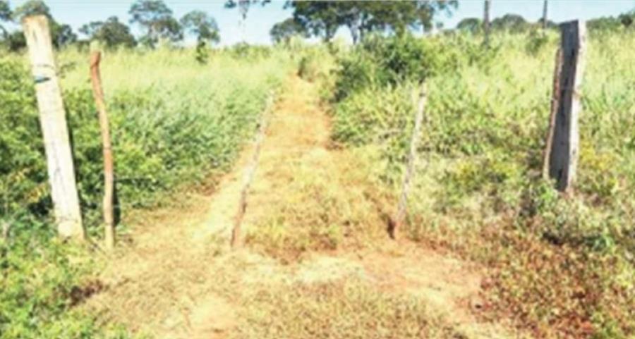 Lote 23 - Estreito - MA - zona rural - Fazenda Imóveis Rurais e Comerciais - SICOOB UniCentro Br - E458