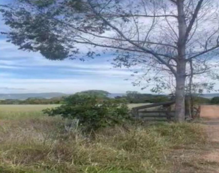 Lote 25 - Caldas Novas - GO - zona rural - Gleba de Terras Imóveis Rurais e Comerciais - SICOOB UniCentro Br - E458