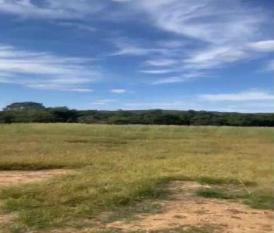 Lote 25 - Caldas Novas - GO - zona rural - Gleba de Terras Imóveis Rurais e Comerciais - SICOOB UniCentro Br - E458 — foto 3