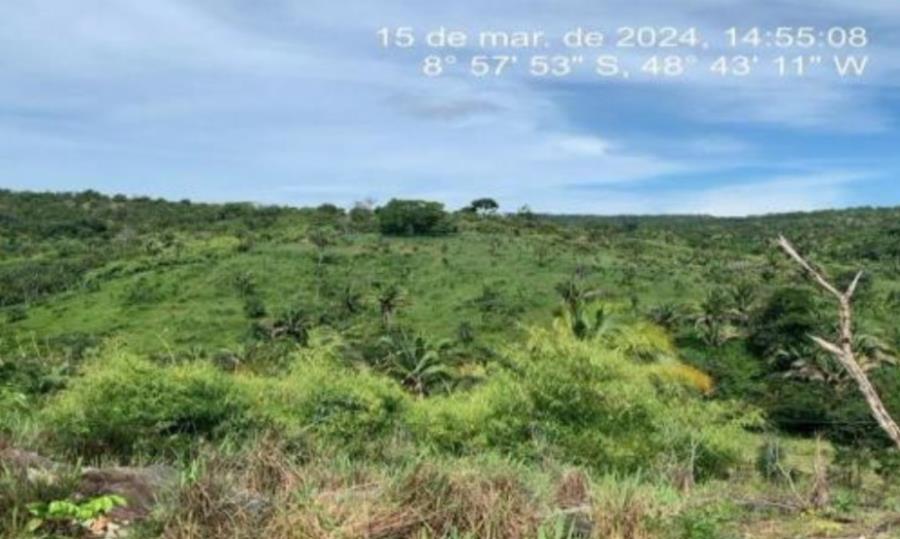 Lote 28 - Colméia - TO - zona rural - Fazenda Imóveis Rurais e Comerciais - SICOOB UniCentro Br - E458