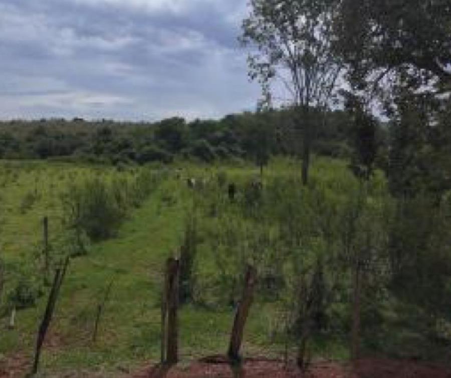 Lote 29 - Brasília - DF - zona rural - Área de Terras Imóveis Rurais e Comerciais - SICOOB UniCentro Br - E458 — foto 2