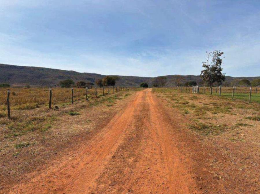 Lote 3 - Buritis - MG - zona rural - Fazenda Imóveis Rurais e Comerciais - SICOOB UniCentro Br - E458 — foto 2