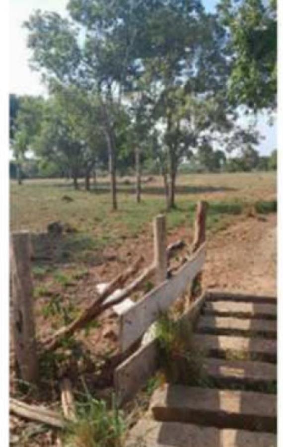 Lote 31 - Presidente Kennedy - TO - zona rural - Fazenda Imóveis Rurais e Comerciais - SICOOB UniCentro Br - E458 — foto 4