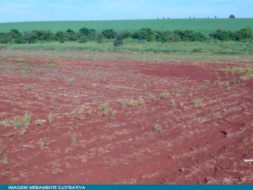 Imóvel Rural - Parte Ideal de 29,67% de 815 ha - Fazenda Anhuminhas - Maracaí - SP — foto 4