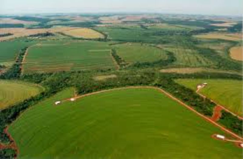 Terreno Urbano