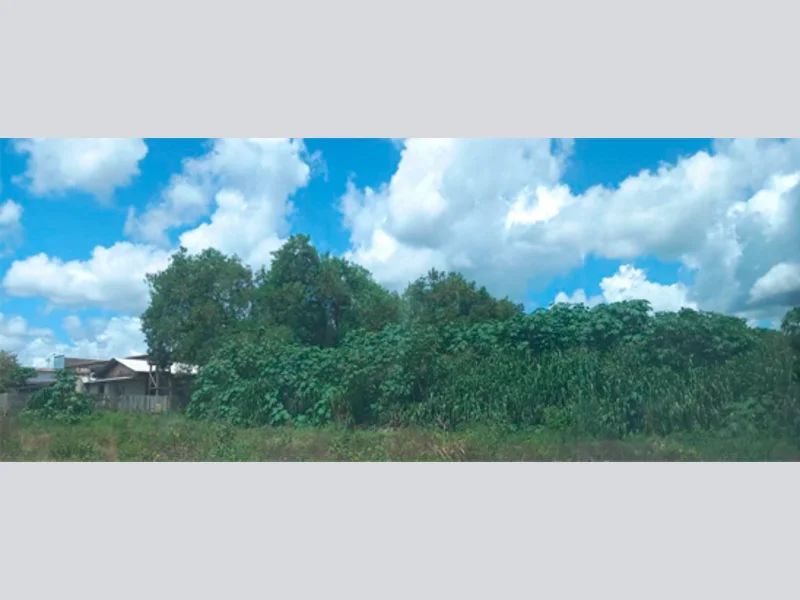 Terreno - Marcelândia - MT — foto 3