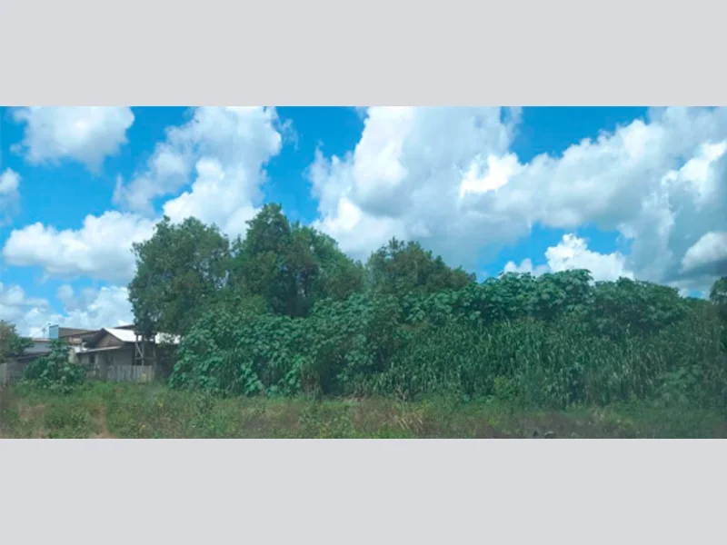Terreno - Marcelândia - MT — foto 4