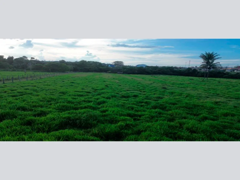Terreno - Nova Santa Helena - MT — foto 3