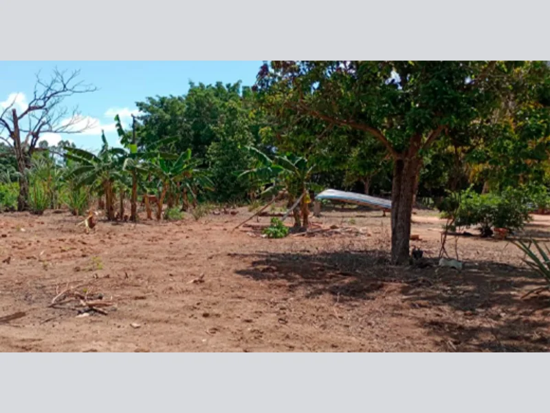 Casa - Alta Floresta - MT — foto 5