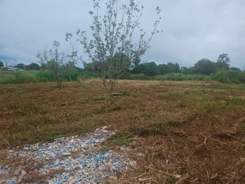 Terreno - Rurópolis - PA — foto 3