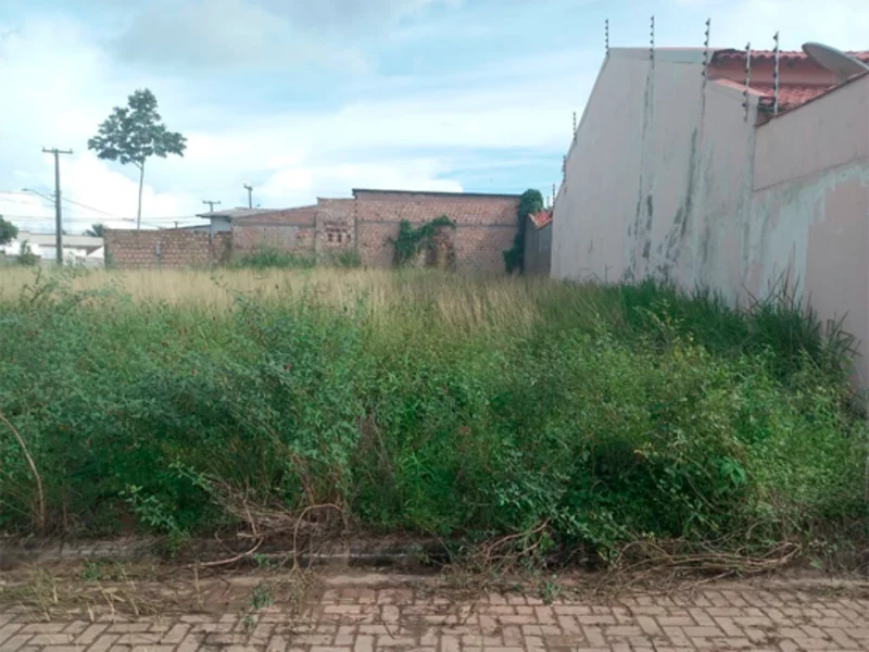 Terreno - Itaituba - PA — foto 3
