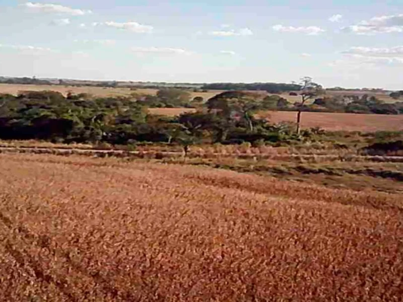 Terreno - Nova Guarita - MT — foto 4