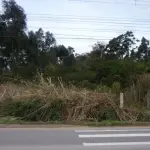 Terreno - Av. Engenheiro Ildefonso Simões Lopes - Pelotas - RS — foto 2