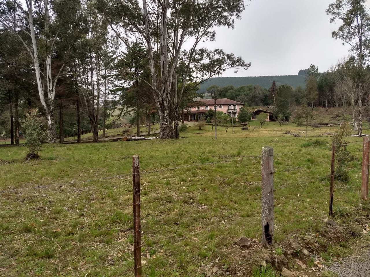 Chacara de 19,7 Hectares na Linha Humaitá em São Marcos — foto 5